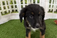 processed/632ae00d-cb25-448f-9769-381ae2030b8e/listing/a38a061a-ee4b-4e18-b1ac-70d7c11bc58d/78cf6ecb-f8e8-48f0-b325-8dd5bb96e4cb