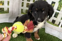 processed/632ae00d-cb25-448f-9769-381ae2030b8e/listing/a38a061a-ee4b-4e18-b1ac-70d7c11bc58d/9ea73df2-edd4-46ea-955d-98305d25af21