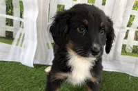 processed/632ae00d-cb25-448f-9769-381ae2030b8e/listing/a38a061a-ee4b-4e18-b1ac-70d7c11bc58d/d672457a-52bb-4eeb-a455-701f90fbed01