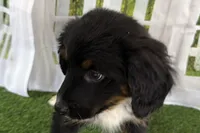 processed/632ae00d-cb25-448f-9769-381ae2030b8e/listing/a38a061a-ee4b-4e18-b1ac-70d7c11bc58d/f5c5099c-4110-459b-8370-e0c965ec622f