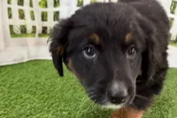 processed/632ae00d-cb25-448f-9769-381ae2030b8e/listing/a38a061a-ee4b-4e18-b1ac-70d7c11bc58d/f7cb6743-d98c-46b2-84f8-3498ce201d97