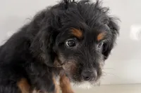 processed/632ae00d-cb25-448f-9769-381ae2030b8e/listing/a7d161af-6435-44c4-b797-9d690085cb24/02282e0a-e430-4a7d-92f6-0400850b4e59