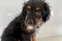 processed/632ae00d-cb25-448f-9769-381ae2030b8e/listing/a7d161af-6435-44c4-b797-9d690085cb24/08f4c812-b12f-4f60-9260-3a8462ec309f