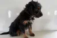 processed/632ae00d-cb25-448f-9769-381ae2030b8e/listing/a7d161af-6435-44c4-b797-9d690085cb24/1a2347a0-1b06-43c5-ab44-11a9abf95c4d