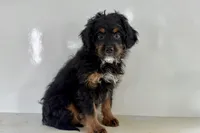 processed/632ae00d-cb25-448f-9769-381ae2030b8e/listing/a7d161af-6435-44c4-b797-9d690085cb24/3d0807ad-e194-45ff-86a0-6034c8f1c43a