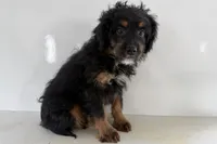 processed/632ae00d-cb25-448f-9769-381ae2030b8e/listing/a7d161af-6435-44c4-b797-9d690085cb24/7fc84f45-417a-4995-8f2e-64a9952c5a74