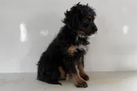 processed/632ae00d-cb25-448f-9769-381ae2030b8e/listing/a7d161af-6435-44c4-b797-9d690085cb24/ac9b99ef-ac3d-42dd-962f-4f2fdc8958da