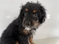 processed/632ae00d-cb25-448f-9769-381ae2030b8e/listing/a7d161af-6435-44c4-b797-9d690085cb24/f1075d3e-8765-46e3-b3d6-e769dd98be82