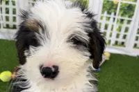 processed/632ae00d-cb25-448f-9769-381ae2030b8e/listing/bdc45e94-0a63-4d8e-a6a7-6de989d1a7f9/2652cce0-e469-46fe-99e4-7b91a00e7bc1