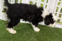 processed/632ae00d-cb25-448f-9769-381ae2030b8e/listing/bdc45e94-0a63-4d8e-a6a7-6de989d1a7f9/30cd723a-1d0f-4ab5-9312-e5cec10703ad