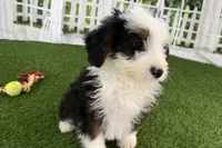 processed/632ae00d-cb25-448f-9769-381ae2030b8e/listing/bdc45e94-0a63-4d8e-a6a7-6de989d1a7f9/627f190d-7726-4cd6-bf69-62a743d29bf4