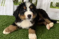 processed/632ae00d-cb25-448f-9769-381ae2030b8e/listing/bdc45e94-0a63-4d8e-a6a7-6de989d1a7f9/6d47d2c1-8716-4c54-86e5-c981b98e500d