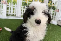 processed/632ae00d-cb25-448f-9769-381ae2030b8e/listing/bdc45e94-0a63-4d8e-a6a7-6de989d1a7f9/8ca3cd19-ea47-4222-a6bb-fa66250cc537