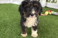 processed/632ae00d-cb25-448f-9769-381ae2030b8e/listing/c663fc15-fe0c-4d22-b59d-4b8a398eef8b/57cd4248-20c4-4ac1-a7f9-1bef5d31f8c3