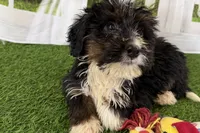 processed/632ae00d-cb25-448f-9769-381ae2030b8e/listing/c663fc15-fe0c-4d22-b59d-4b8a398eef8b/65fb4cab-6295-4837-a9bb-3a331cb67370