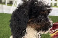 processed/632ae00d-cb25-448f-9769-381ae2030b8e/listing/c663fc15-fe0c-4d22-b59d-4b8a398eef8b/8869d6d4-51fe-480c-8c59-1c9c046695e8