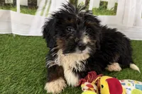 processed/632ae00d-cb25-448f-9769-381ae2030b8e/listing/c663fc15-fe0c-4d22-b59d-4b8a398eef8b/aae2c2a8-3f55-4c2f-9076-e3d72fc2788c