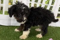 processed/632ae00d-cb25-448f-9769-381ae2030b8e/listing/c663fc15-fe0c-4d22-b59d-4b8a398eef8b/bdb210d2-9376-478d-be62-dd1ea70f5ad6