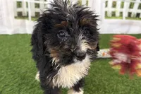 processed/632ae00d-cb25-448f-9769-381ae2030b8e/listing/c663fc15-fe0c-4d22-b59d-4b8a398eef8b/fbdf65aa-fdf8-48da-aa6a-40fe46ac9017