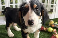 processed/632ae00d-cb25-448f-9769-381ae2030b8e/listing/e8d663a8-5a85-4dd3-a46f-fb5de382eb5b/45cce42b-7e27-4562-b3c4-025980e7a08e