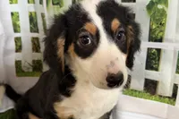 processed/632ae00d-cb25-448f-9769-381ae2030b8e/listing/e8d663a8-5a85-4dd3-a46f-fb5de382eb5b/4807836e-fabe-4c8b-bbd6-bf8458788bdb