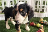 processed/632ae00d-cb25-448f-9769-381ae2030b8e/listing/e8d663a8-5a85-4dd3-a46f-fb5de382eb5b/8263f07f-58b6-4208-8352-1735490b6031