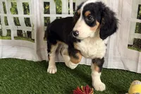 processed/632ae00d-cb25-448f-9769-381ae2030b8e/listing/e8d663a8-5a85-4dd3-a46f-fb5de382eb5b/9b6be29e-56a2-45aa-8b2f-0247aa640584