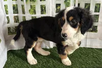 processed/632ae00d-cb25-448f-9769-381ae2030b8e/listing/e8d663a8-5a85-4dd3-a46f-fb5de382eb5b/aab46ff6-c706-4589-995a-8e484ed3a0aa