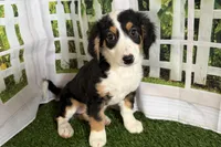 processed/632ae00d-cb25-448f-9769-381ae2030b8e/listing/e8d663a8-5a85-4dd3-a46f-fb5de382eb5b/c0a4ccb7-ebc2-4dec-908e-8a23862e6ce7