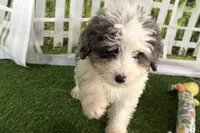 processed/632ae00d-cb25-448f-9769-381ae2030b8e/listing/edf38e4f-8e11-4765-8a98-803d4891402d/1f2641c6-ecc3-41ac-a85f-591e5a3817e5