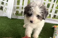 processed/632ae00d-cb25-448f-9769-381ae2030b8e/listing/edf38e4f-8e11-4765-8a98-803d4891402d/3a6aa78b-0489-40e7-8337-7291410d6c17