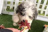 processed/632ae00d-cb25-448f-9769-381ae2030b8e/listing/edf38e4f-8e11-4765-8a98-803d4891402d/474886b0-697b-4222-b383-b4ce76850781