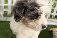 processed/632ae00d-cb25-448f-9769-381ae2030b8e/listing/edf38e4f-8e11-4765-8a98-803d4891402d/56cf1158-761a-4f5f-8b47-b13170975492