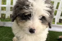 processed/632ae00d-cb25-448f-9769-381ae2030b8e/listing/edf38e4f-8e11-4765-8a98-803d4891402d/8a570a09-3b5c-49e6-89dc-a02a0e9f41ff