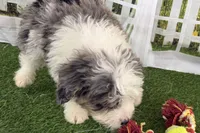 processed/632ae00d-cb25-448f-9769-381ae2030b8e/listing/edf38e4f-8e11-4765-8a98-803d4891402d/c0dc7d44-901e-469e-a034-3c32cd56045b