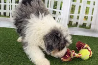 processed/632ae00d-cb25-448f-9769-381ae2030b8e/listing/edf38e4f-8e11-4765-8a98-803d4891402d/e6115a1c-76ce-495a-a328-0b26562bbfee