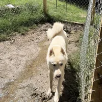 processed/63300401-6b7c-4837-8790-5d09d424cd37/facility/2f28b3c2-e543-415a-bc16-0ab128a5e0a4