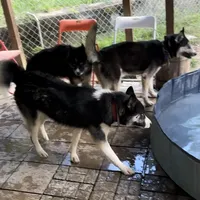 processed/63300401-6b7c-4837-8790-5d09d424cd37/facility/3034129b-5e1d-4531-b1c9-249435dd00ad