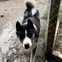 processed/63300401-6b7c-4837-8790-5d09d424cd37/facility/3459bbe9-8147-4ceb-b934-adfaee6f2942