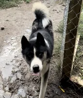 processed/63300401-6b7c-4837-8790-5d09d424cd37/facility/3459bbe9-8147-4ceb-b934-adfaee6f2942