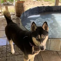 processed/63300401-6b7c-4837-8790-5d09d424cd37/facility/a67667e7-95c6-450d-9c27-db1f77c86042