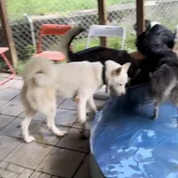 processed/63300401-6b7c-4837-8790-5d09d424cd37/facility/e0bf8458-b79a-434e-98c4-a2ab7be66977