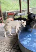 processed/63300401-6b7c-4837-8790-5d09d424cd37/facility/e0bf8458-b79a-434e-98c4-a2ab7be66977