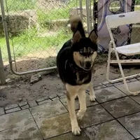 processed/63300401-6b7c-4837-8790-5d09d424cd37/facility/f02e9df8-3fc8-44b0-a7cc-d14dcc001ca9