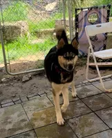 processed/63300401-6b7c-4837-8790-5d09d424cd37/listing/cab59121-6fde-491e-a6e6-8b295e6daccf/52593afb-bcd4-4b6c-9e9d-ff7f7e0fa83e