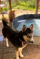 processed/63300401-6b7c-4837-8790-5d09d424cd37/listing/cab59121-6fde-491e-a6e6-8b295e6daccf/62bb189f-0232-4129-b648-c486dc662fb0