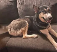 processed/63300401-6b7c-4837-8790-5d09d424cd37/listing/cab59121-6fde-491e-a6e6-8b295e6daccf/688f5cff-b70f-4d13-8e45-e00cba6cecf6