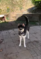 processed/63300401-6b7c-4837-8790-5d09d424cd37/listing/cab59121-6fde-491e-a6e6-8b295e6daccf/ffa4d23f-4a3e-4c40-b1dc-b644134ef8ce