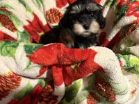 processed/63301e0e-2f75-4466-8d3a-c03720beca97/listing/ca7e3690-153c-43c8-a295-286d0ee2ea20/18a3ef77-4dd5-4c94-a20e-56389e230128