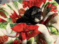 processed/63301e0e-2f75-4466-8d3a-c03720beca97/listing/ca7e3690-153c-43c8-a295-286d0ee2ea20/a08653a5-fd3a-4d7b-b35b-38081958e7d6